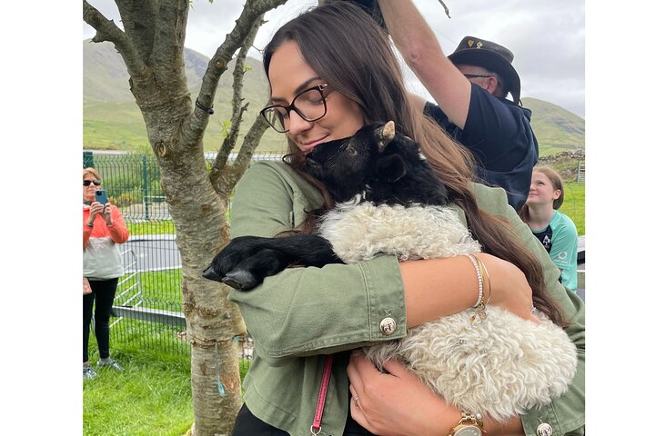 Kleine Gruppe Kylemore Abbey, Sheepdog Demo & Connemara Tour