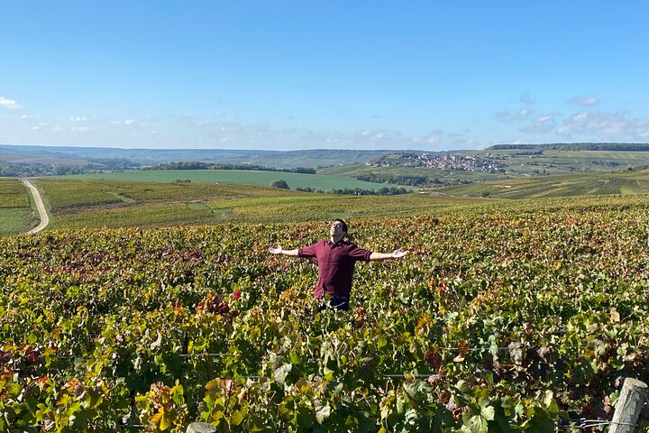 Exclusieve Champagne Kelders & Dom Perignon Wijngaarden tour - Reims