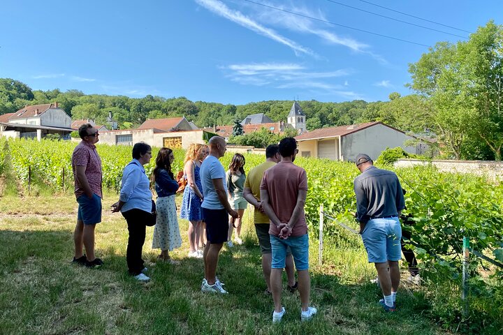 Exclusieve Champagne Kelders & Dom Perignon Wijngaarden tour - Reims