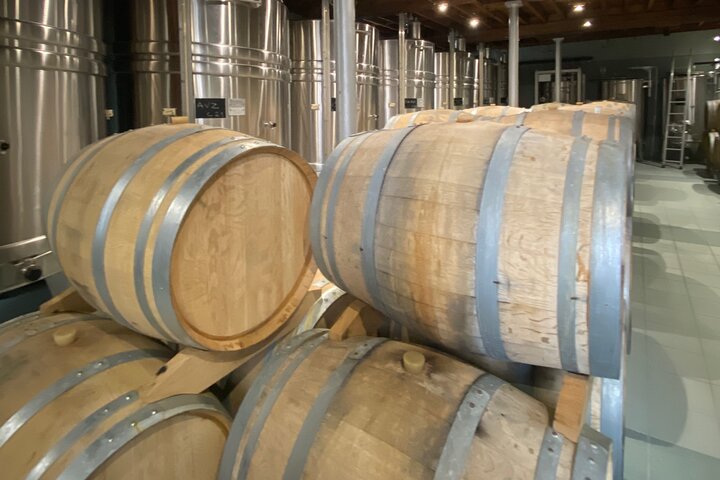 Exclusieve Champagne Kelders & Dom Perignon Wijngaarden tour - Reims