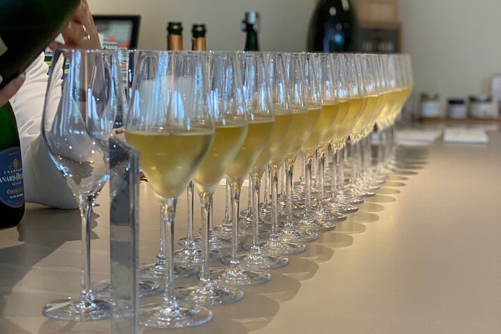Exclusieve Champagne Kelders & Dom Perignon Wijngaarden tour - Reims