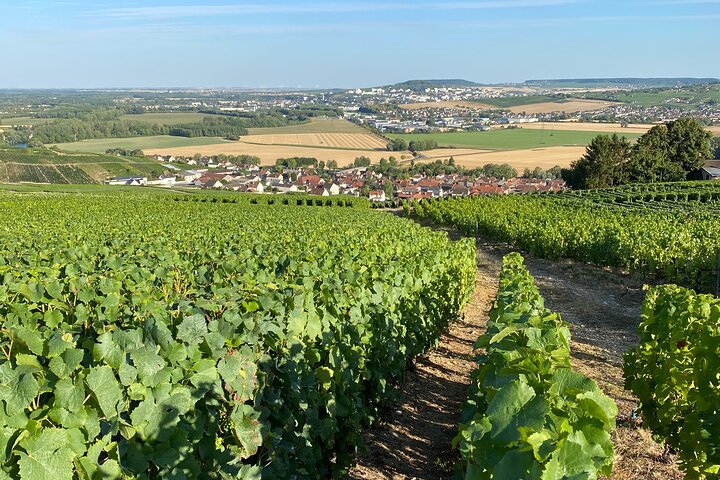 Exclusieve Champagne Kelders & Dom Perignon Wijngaarden tour - Reims