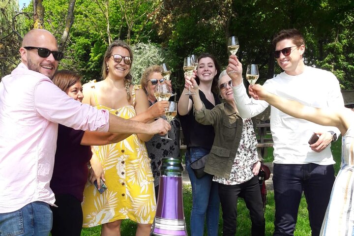 Exclusieve Champagne Kelders & Dom Perignon Wijngaarden tour - Reims