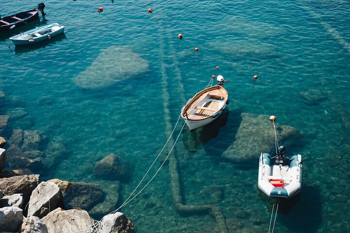 Tour di un giorno delle Cinque Terre in treno da La Spezia