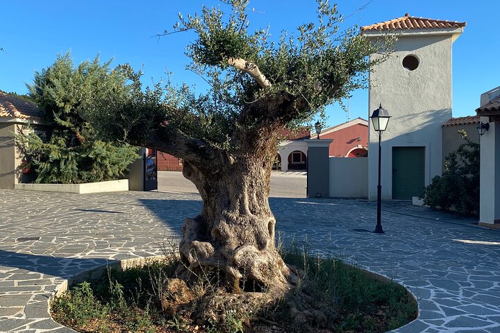 Wijntour Kefalonia