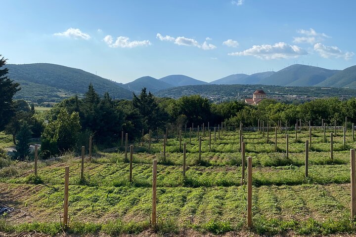 Wijntour Kefalonia