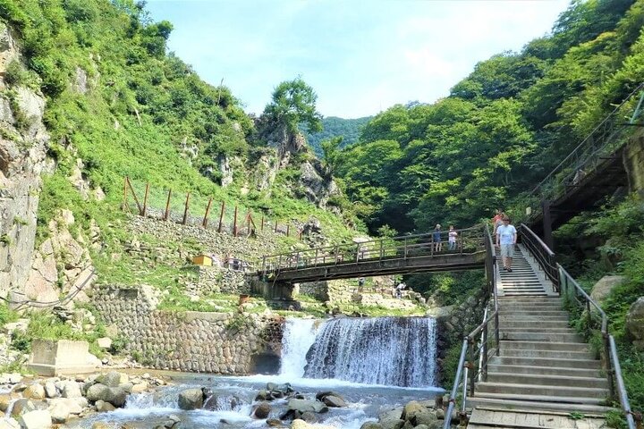 1-tägige private Schneeaffen-ZenkoJi-Tempel- und Sake-Verkostung durch Nagano
