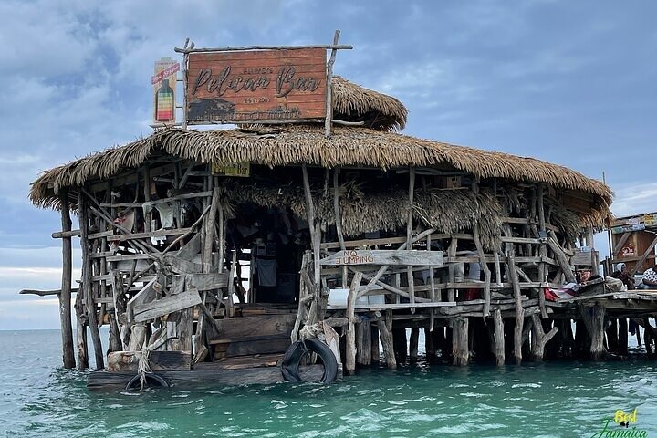 Zipline, YS Falls & Pelican Bar Privétour vanuit Montego Bay