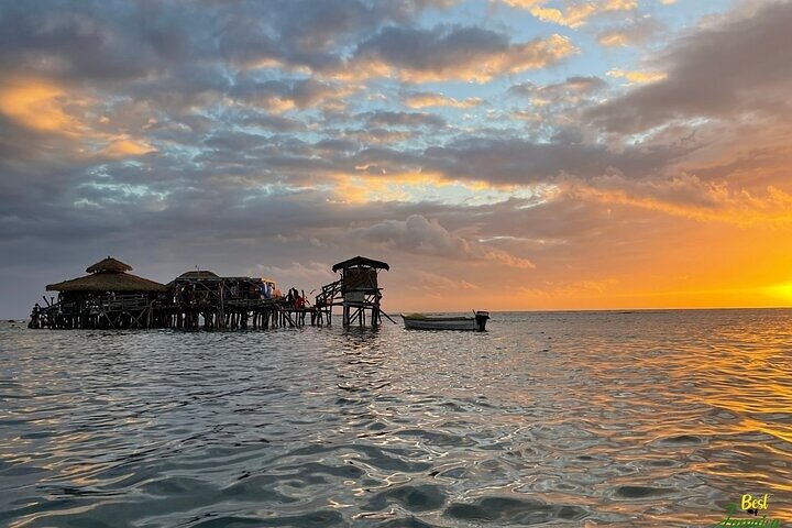 Zipline, YS Falls & Pelican Bar Privétour vanuit Montego Bay