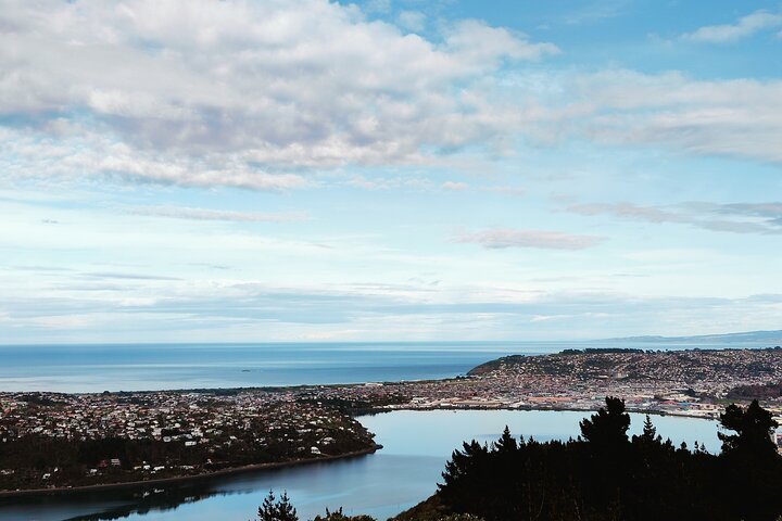 Heritage City og Larnach Castle Van-tur med historisk guide