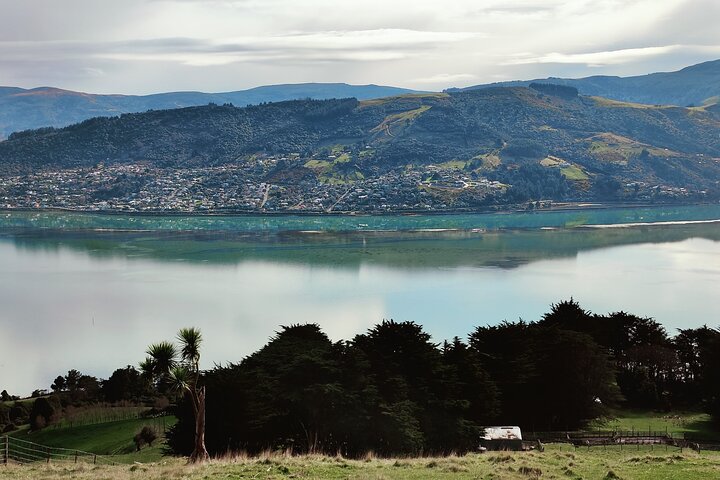 Heritage City og Larnach Castle Van-tur med historisk guide