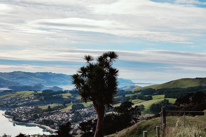 Heritage City og Larnach Castle Van-tur med historisk guide