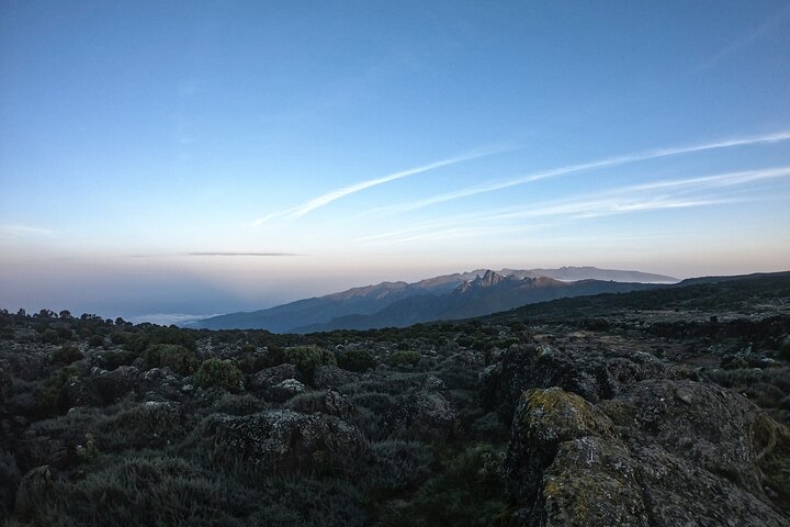 8 Days Climbing Mt.Kilimanjaro (Lemosho Route)