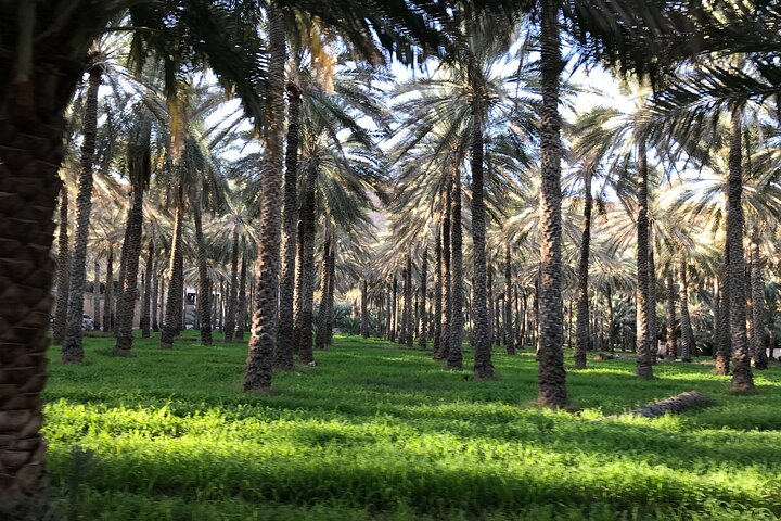 Bergen & Forten – Privé dagtour naar Nizwa & Jebel Akhdar