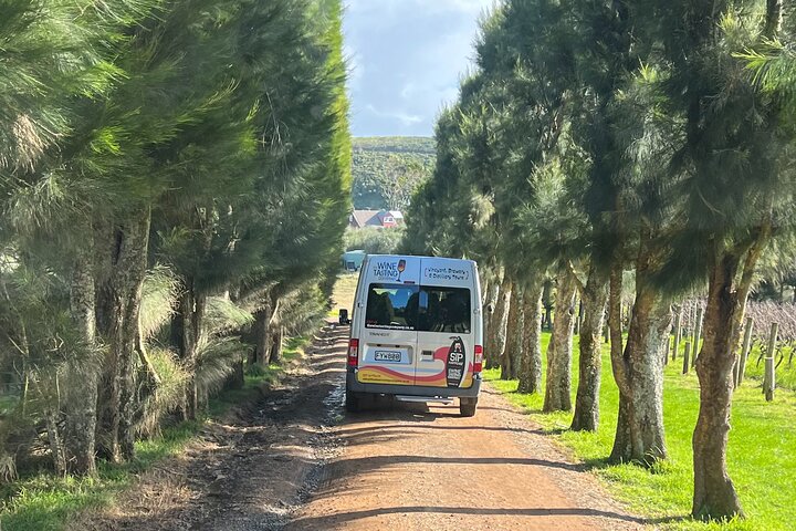 Hoteller i nærheten av Waiheke Best Cellar Tour (11 guests max)