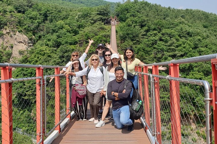 Ganztägige Layover Private DMZ-Tour ab Kreuzfahrt und Flug