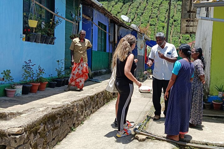 Visita guiada por la vida de Anakulam Wild Elephant Village (Por Munnar Info)