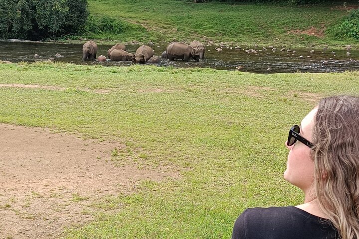 Visita guiada por la vida de Anakulam Wild Elephant Village (Por Munnar Info)