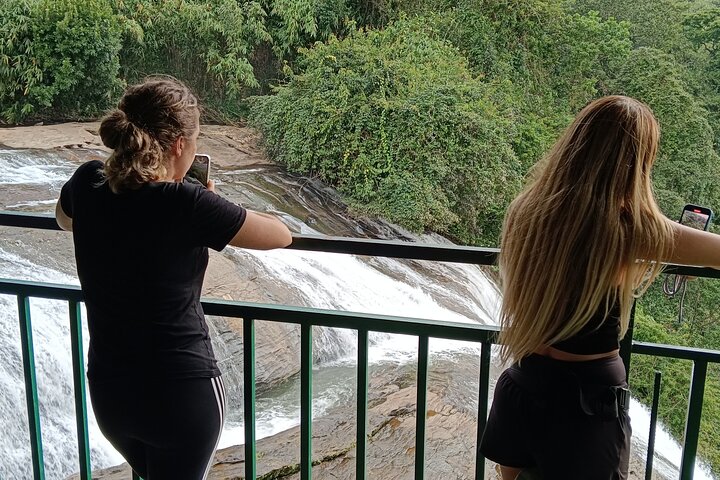 Visita guiada por la vida de Anakulam Wild Elephant Village (Por Munnar Info)