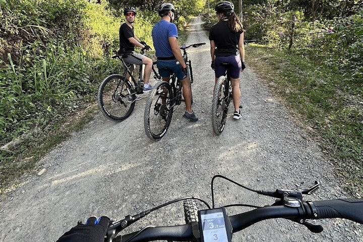 Privat tur på E-cykel: Oplev El Valle de Anton