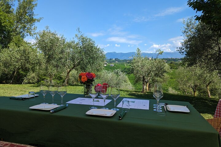 Tour privado todo incluido a Prosecco Hills - 2 bodegas y almuerzo.