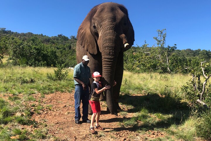 Tour zum Elefanten- und Affenschutzgebiet ab Johannesburg