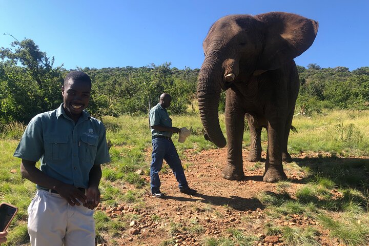Tour zum Elefanten- und Affenschutzgebiet ab Johannesburg