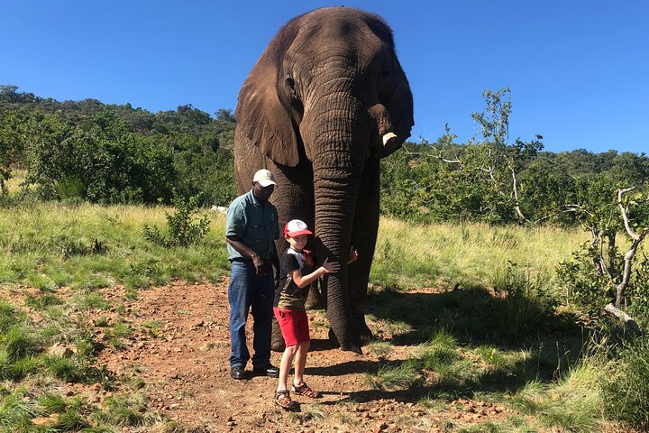 Tour zum Elefantenschutzgebiet ab Johannesburg