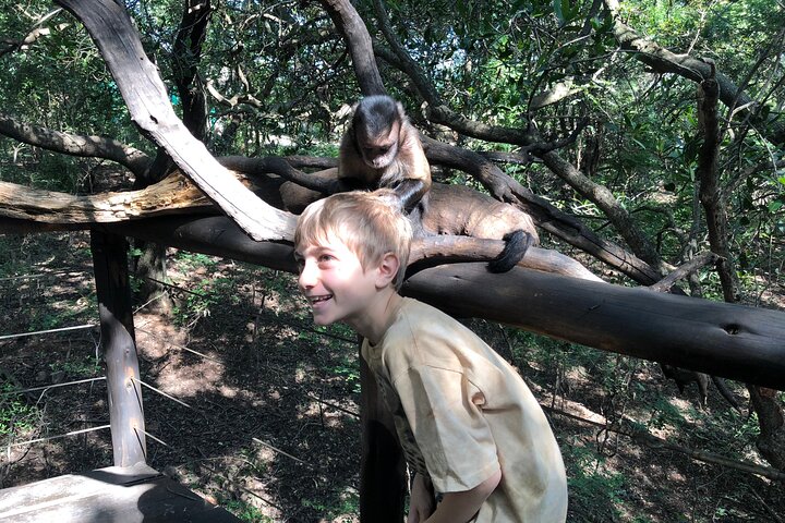 Tour zum Elefanten- und Affenschutzgebiet ab Johannesburg