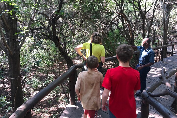 Tour zum Elefanten- und Affenschutzgebiet ab Johannesburg