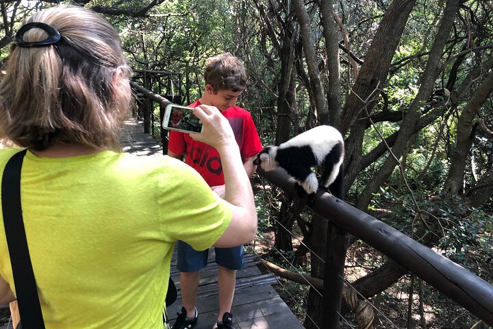 Tour zum Elefanten- und Affenschutzgebiet ab Johannesburg
