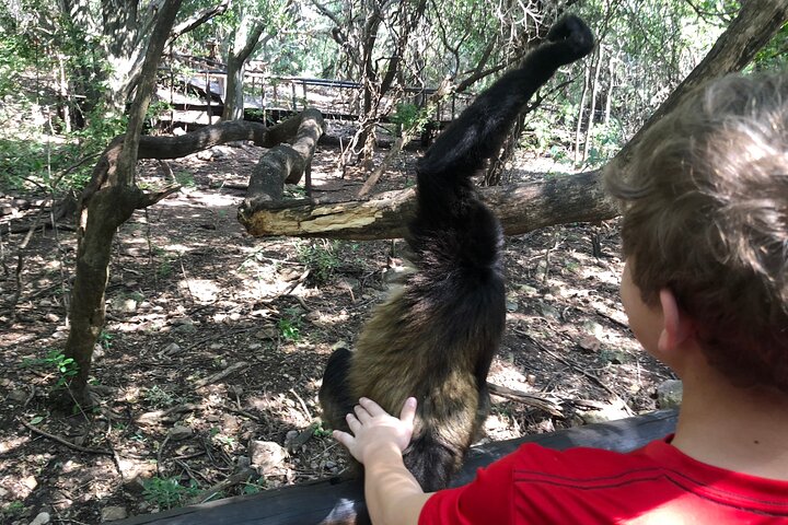 Tour zum Elefanten- und Affenschutzgebiet ab Johannesburg