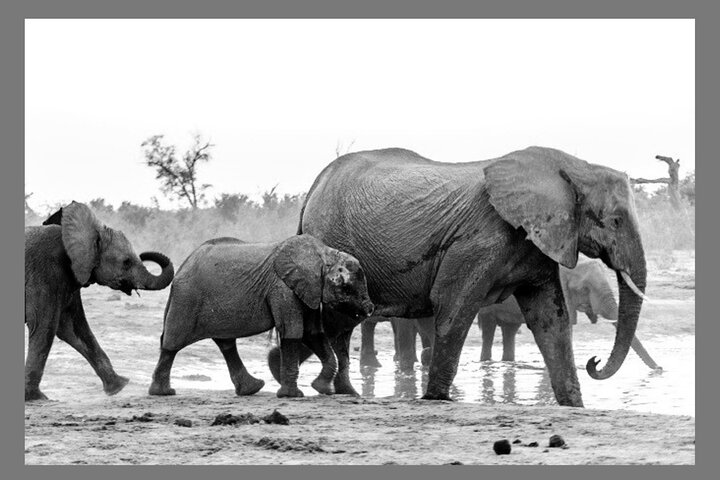 1 Nacht Exklusives rustikales Luxus Safari Camp Nyerere Nationalpark