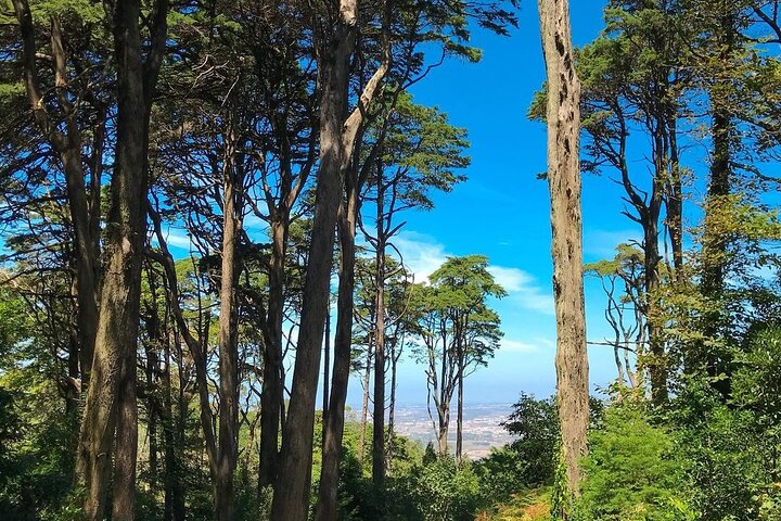 Sintra Private Tour med billetter: Pena Palace & Moorish Castle