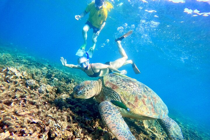 Ko Tao: Vintage båd - lille gruppe snorkling dagstur med måltider