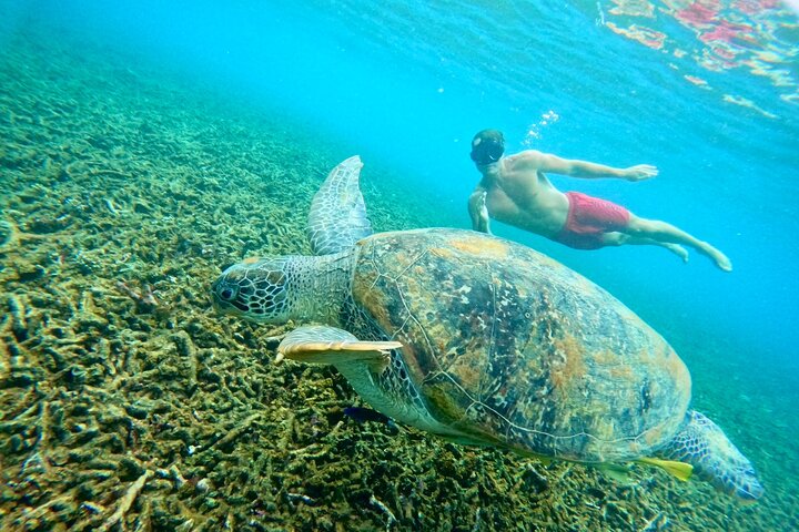 Ko Tao: Vintage båd - lille gruppe snorkling dagstur med måltider