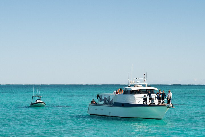 Hvalhai og Ningaloo Reef (Shoulder Season) tur i Exmouth