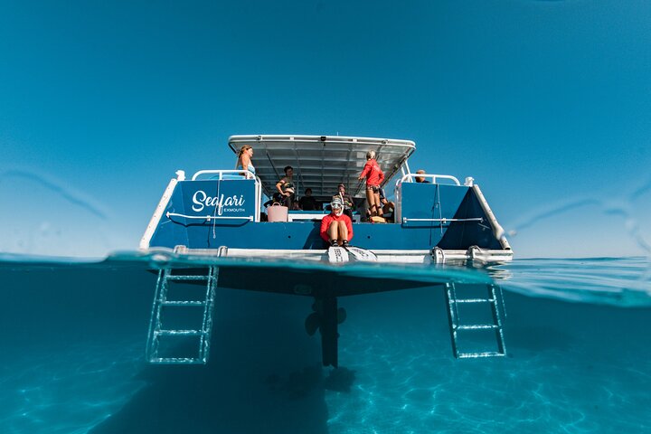 Hvalhai og Ningaloo Reef (Shoulder Season) tur i Exmouth