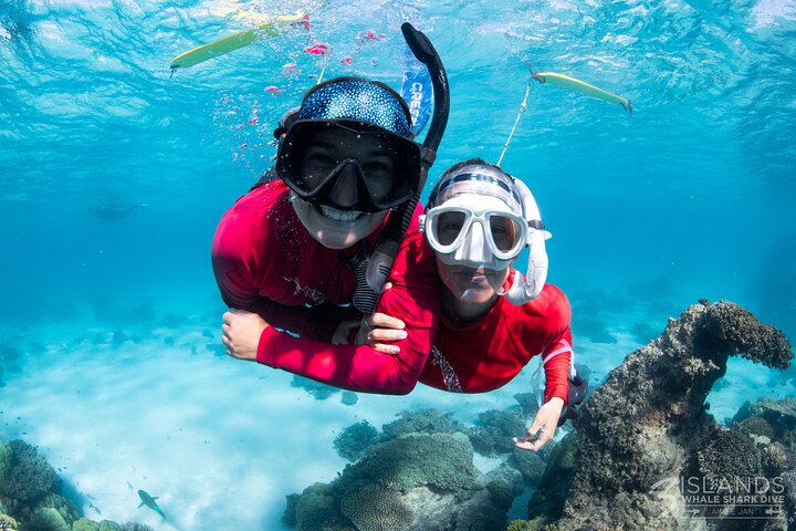 Hvalhai og Ningaloo Reef (Shoulder Season) tur i Exmouth