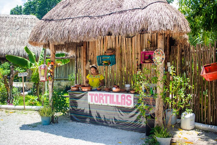 ATV 4×4+Cenote+Snorkeling+Beach Club+ Lunch+Sabores de Cozumel