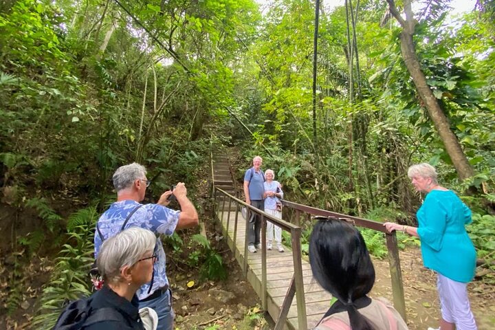Rainforest Wildlife, Panama Hat-skapere, Tradisjonelt kjøkken. SHORE TOUR