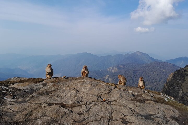 Chopta-Tungnath Trek, un'alba a 3700 m sull'Himalaya