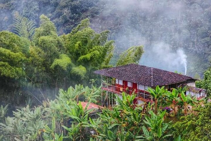 Tour zur Kaffeefarm und zu den heißen Quellen von Santa Rosa ab Pereira oder Armenien