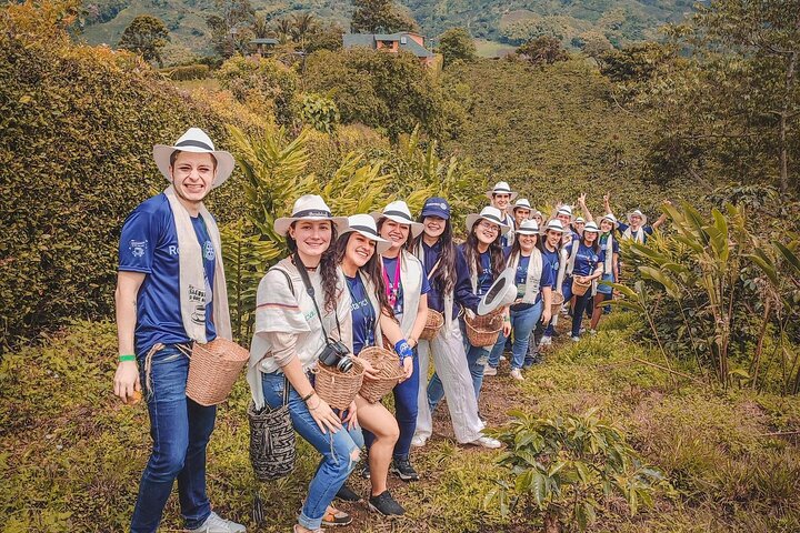Tour zur Kaffeefarm und zu den heißen Quellen von Santa Rosa ab Pereira oder Armenien