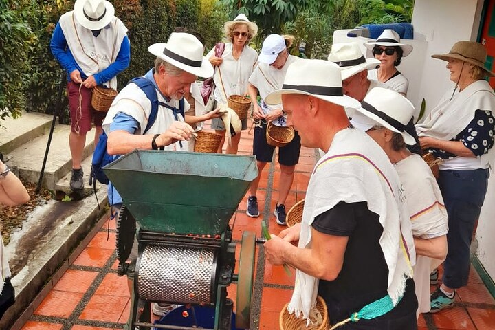 Tour zur Kaffeefarm und zu den heißen Quellen von Santa Rosa ab Pereira oder Armenien