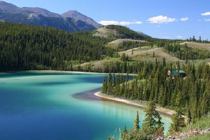 Wild Adventure Yukon Tour till Kanada inklusive City och Summit