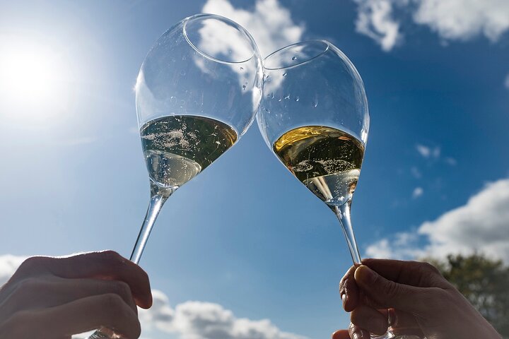 Bubble Champagne Tour vanuit Epernay (tour van een halve dag met kleine groepen)