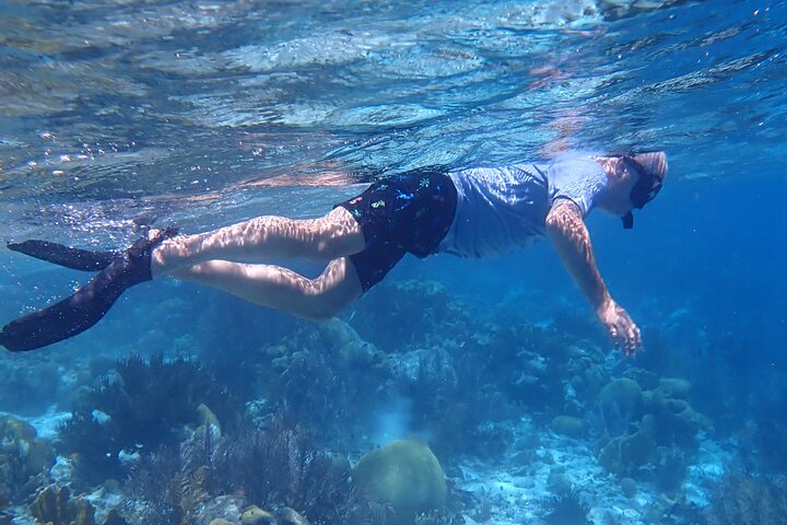 Klein Bonaire Marine Park Snorkeling Excursion small groups