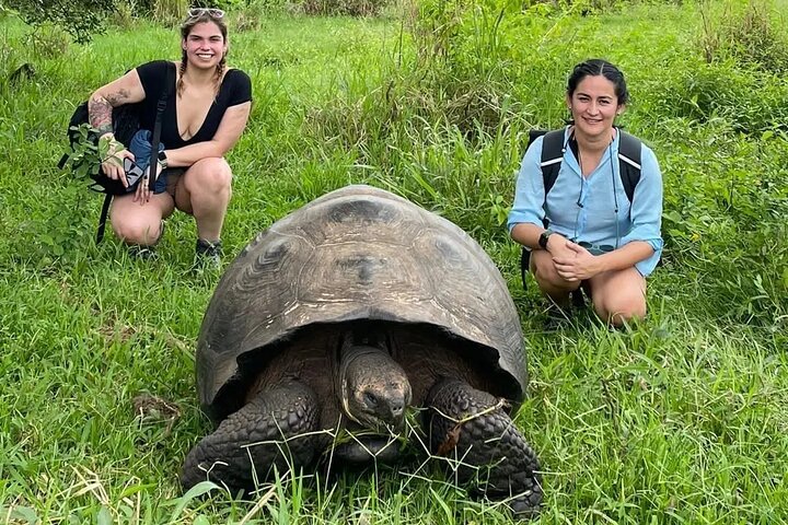 Tour Giant Tortoises, Lava Tunnels & Stop at Los Gemelos Craters”