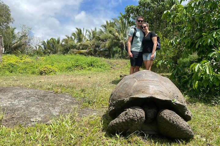 Tour Giant Tortoises, Lava Tunnels & Stop at Los Gemelos Craters”